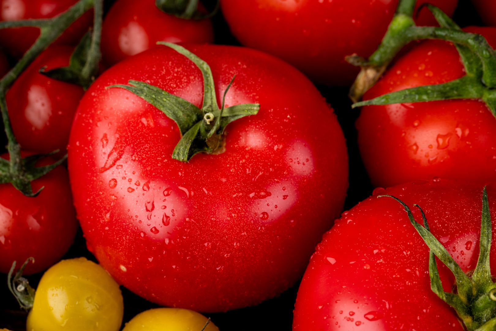 Свыше 300 тонн томатов из Грузии ввезли на Ставрополье с начала года